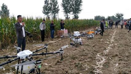 冬闲不闲 青岛农机服务破解“谁来种地”难题，企业年增收超五十万