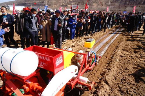 三抓三促聚合力 机械强农促振兴——陇西县农机服务中心深入开展三抓三促行动，助力农业现代化